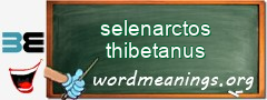 WordMeaning blackboard for selenarctos thibetanus